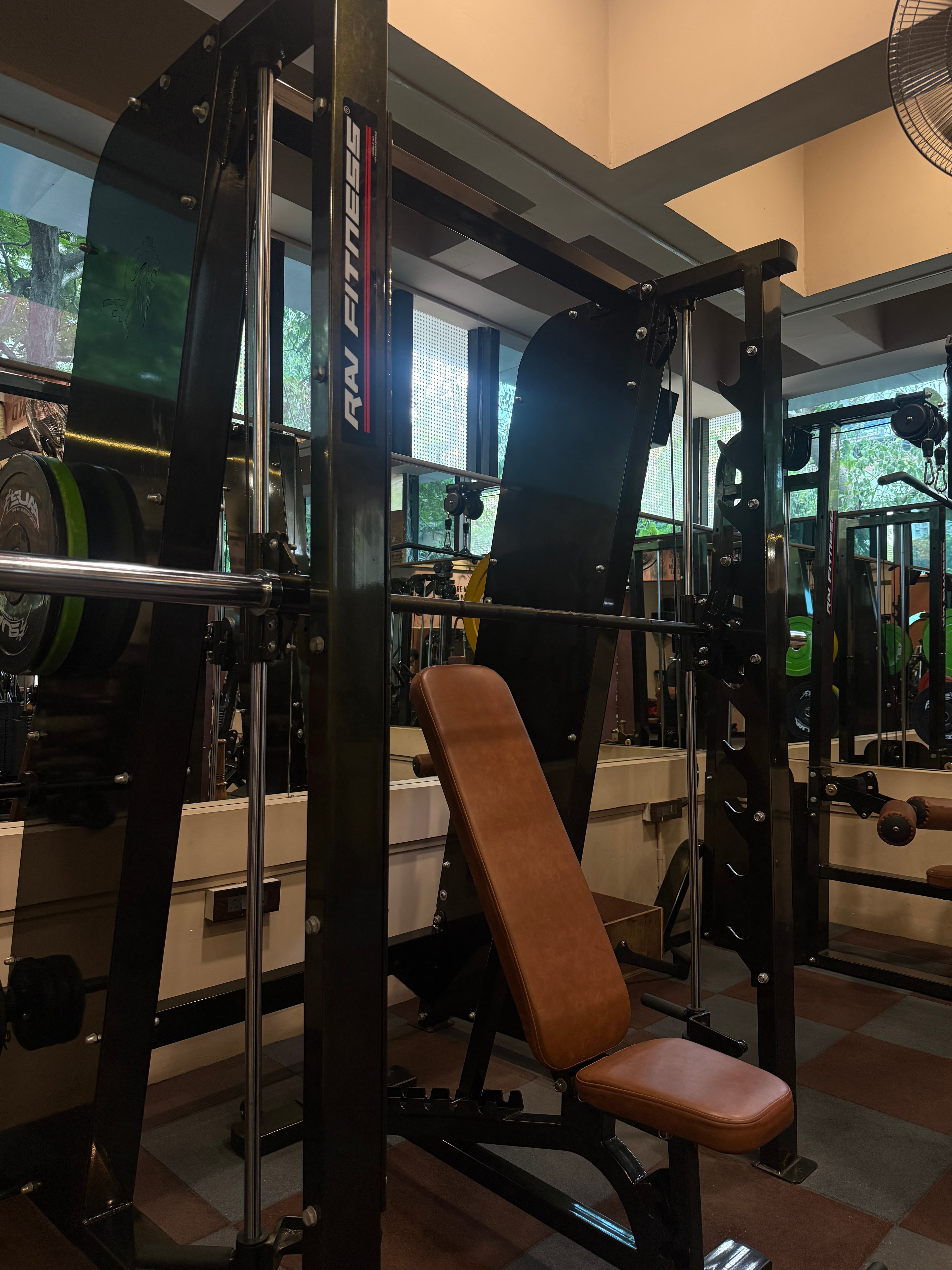 Gym Activity