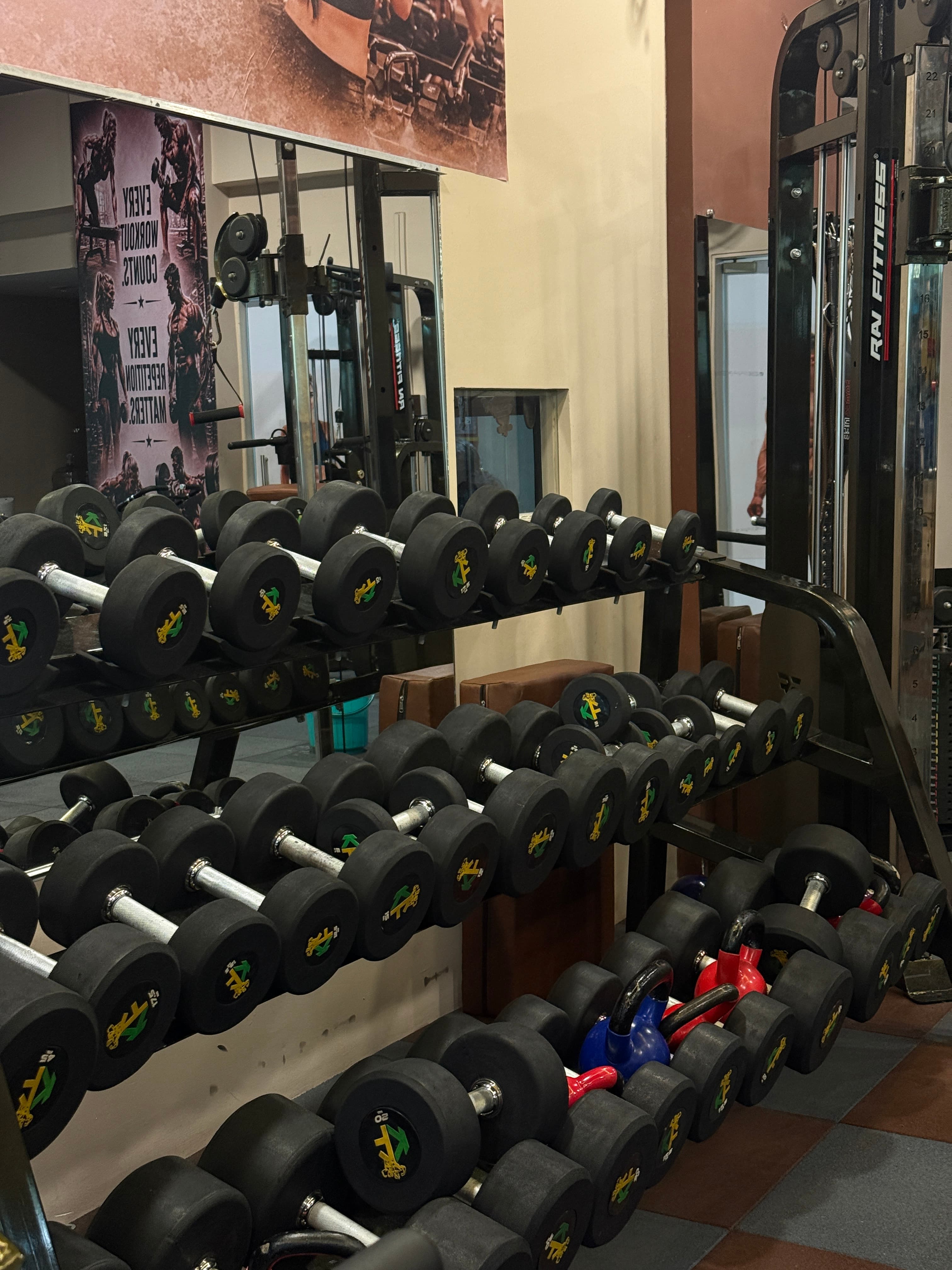 Pro Dumbbell Station