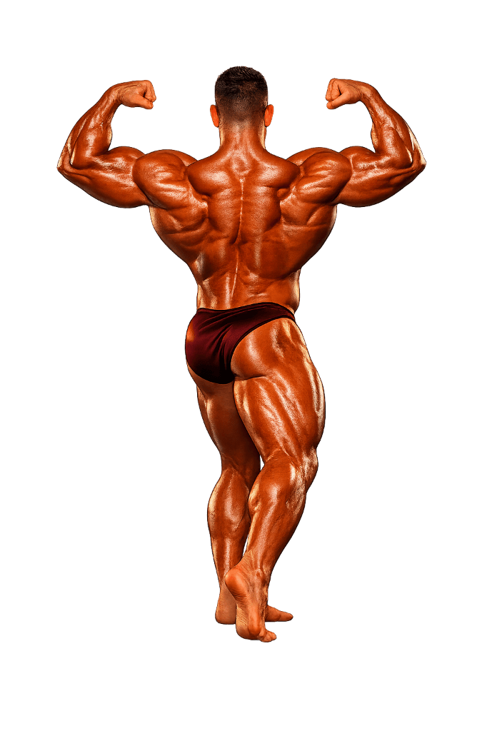 Back Double Biceps